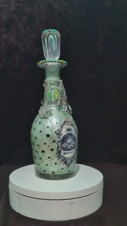 Aranea Eggs